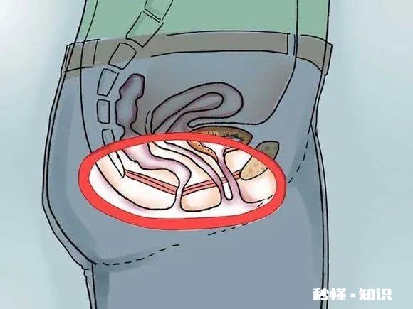 医院盆底肌修复的原理是什么，有效果么