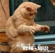 中元节晚上能出门吗晚上想去夜钓