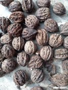 自媒体怎样为农村绿色产品做推广