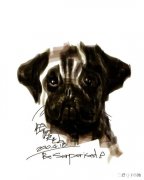 喜欢画画但没有钱学怎么办