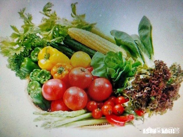 50岁的人除了跑步、快走，还有什么较好的有氧运动