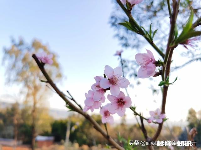 疫情管控解除之后，旅游行业会出现报复性消费吗