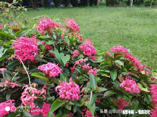 喜欢游泳的朋友，你可以一直不停地游或漂多久呢