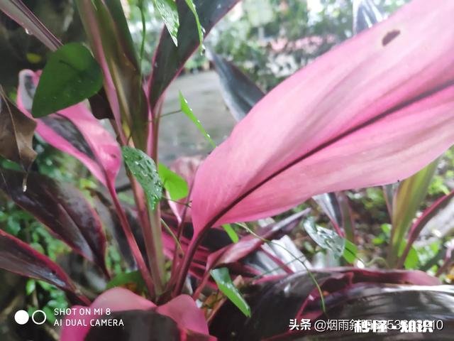 喜欢游泳的朋友，你可以一直不停地游或漂多久呢