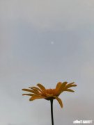 大雨滂沱的夜晚明天又不上班，此刻躲在温暖的被窝里入睡，是不是特幸福的事