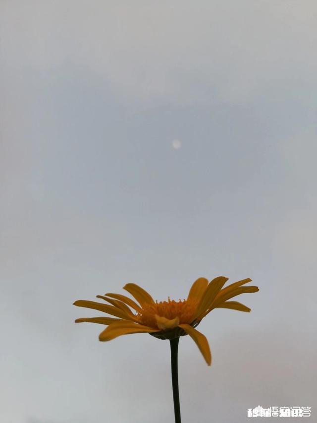 大雨滂沱的夜晚明天又不上班，此刻躲在温暖的被窝里入睡，是不是特幸福的事