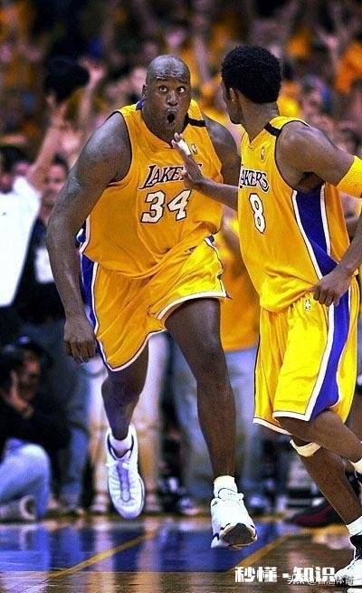 奥尼尔统治力最强,为什么只有四冠