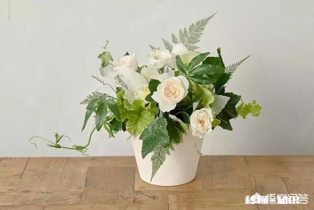 艺术家在春节里可以做哪些比较有创意的事