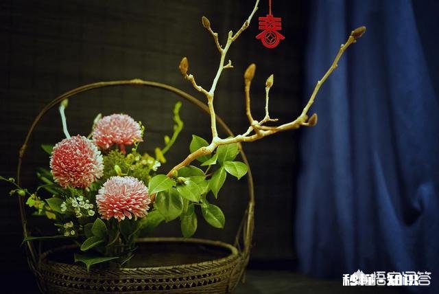 艺术家在春节里可以做哪些比较有创意的事