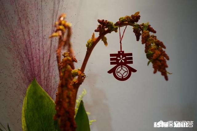 艺术家在春节里可以做哪些比较有创意的事