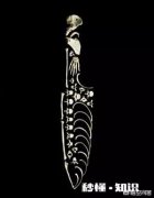 艺术家在春节里可以做哪些比较有创意的事