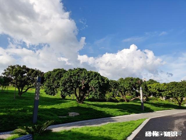 二线城市银行二级支行副行长,985硕士,压力大,想跳槽到高校,怎么样