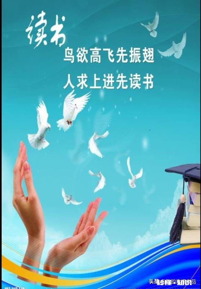 成绩优异但更钟爱绘画，美术天赋却不如学习天赋，我该怎么做