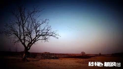 大学四年你学好了，还是玩好了