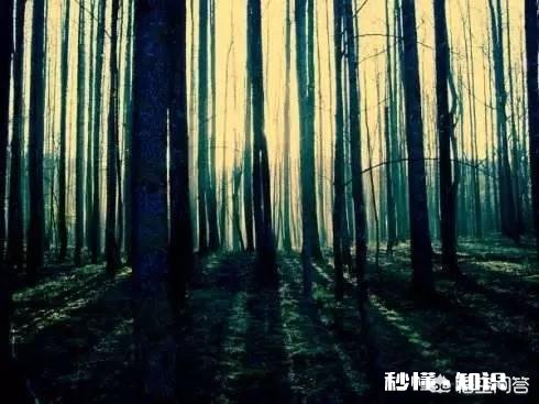 大学四年你学好了，还是玩好了