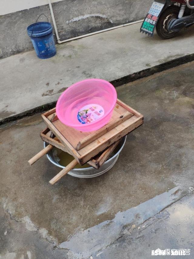 回到农村了，你第一时间想吃的菜是什么