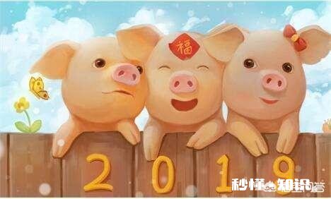 现在过年发祝福信息，您是选择微信还是短信为什么