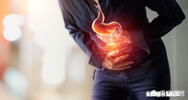 胃不好需要吃什么东西可以养胃