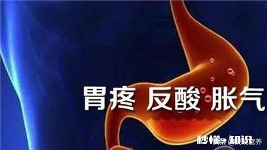 胃不好需要吃什么东西可以养胃