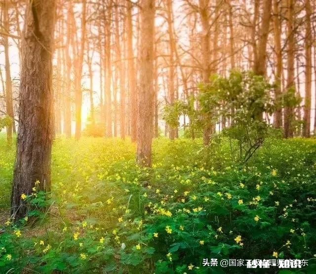 心理门诊和心理咨询的区别是什么