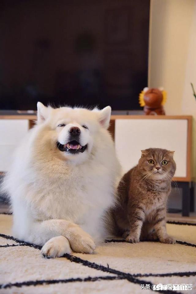 和前任谈了3年然后分手，半年之后前任找你复合，你会抛弃现任和前任复合吗