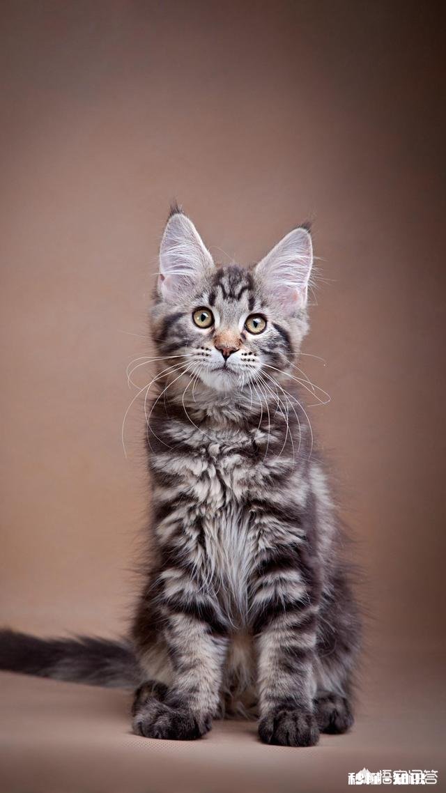 和前任谈了3年然后分手，半年之后前任找你复合，你会抛弃现任和前任复合吗