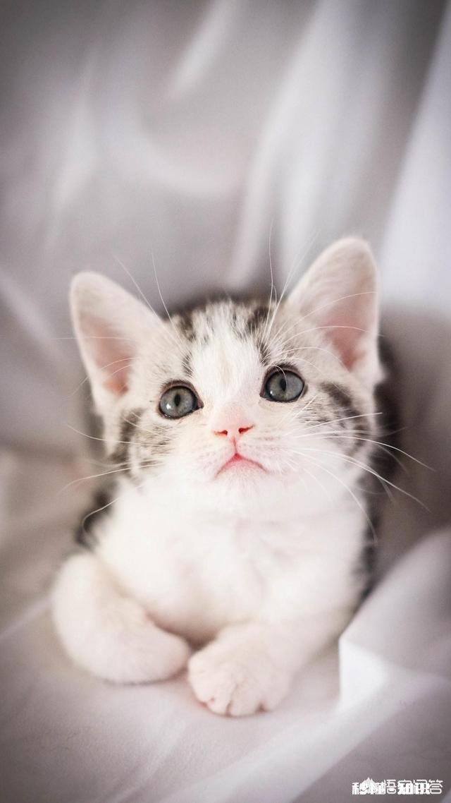 和前任谈了3年然后分手，半年之后前任找你复合，你会抛弃现任和前任复合吗