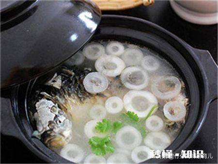 宝宝一直吃不饱，都是因为我奶水太少了，又喝不惯奶粉，老是吐奶。怎么追奶