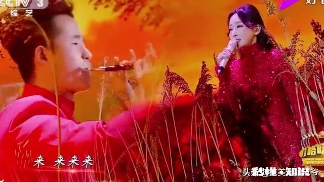 《九儿》这首歌谁唱的好听