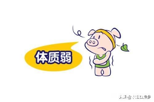 人的病可以分为哪几种该如何对待几者之间的关系