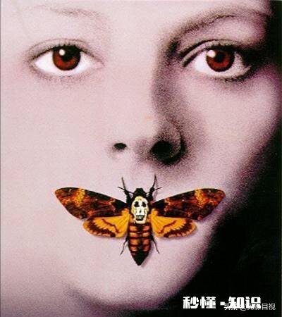 电影《沉默的羔羊》为什么被称为惊悚片的教课书