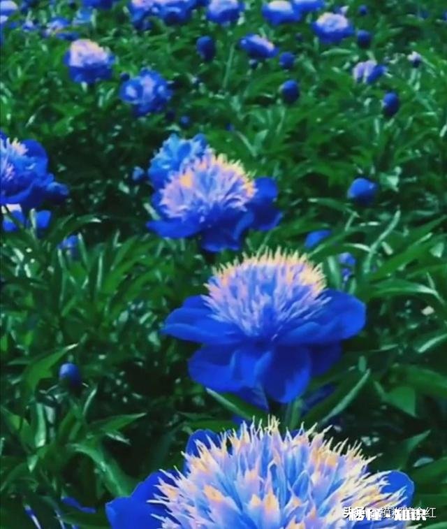 新冠肺炎已治愈，完成隔离了，能出去了吗