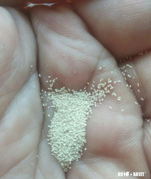 泡打粉与酵母粉能一起放吗为什么