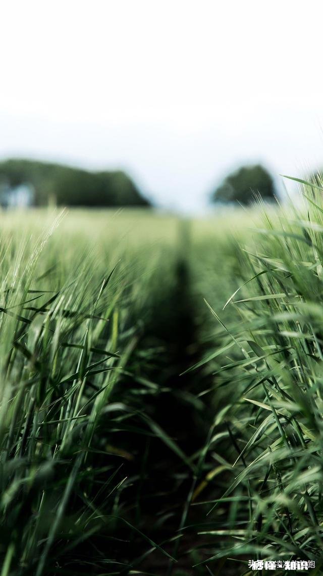 求教外贸B2B平台如何操作及推广，需要注意哪些细节问题