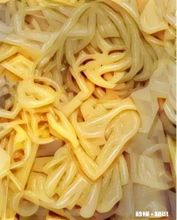 怎样忘掉一个人每天想他都快疯了。我该怎么办