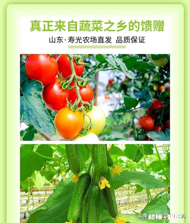 婚姻不算不幸福,过得比上不足比下有余,可就是不开心咋回事