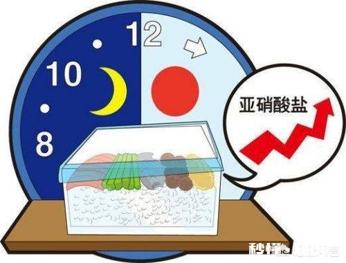 人到中年，想健康，不吃“三饭”、不睡“三觉”，都是什么