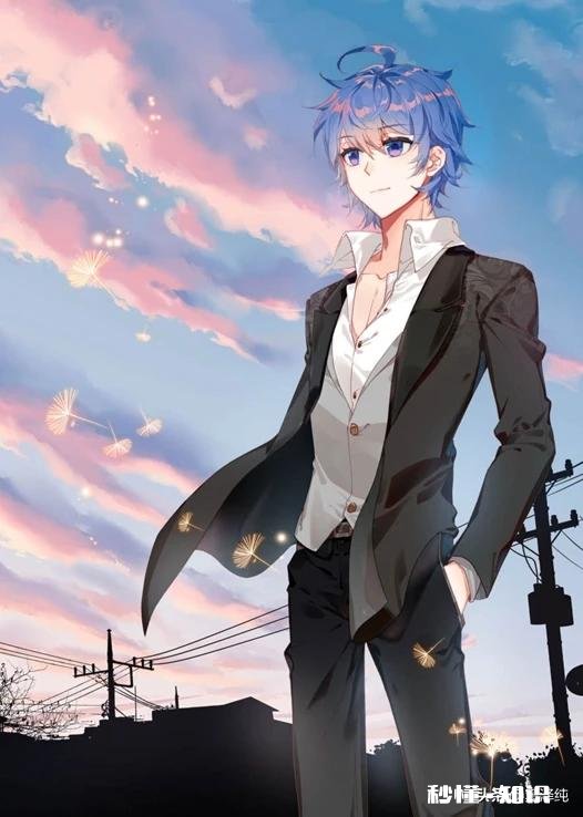 两个动漫人物在追你，一个是当世最强却相貌平平，一个弱不禁风却貌美如花，你选谁