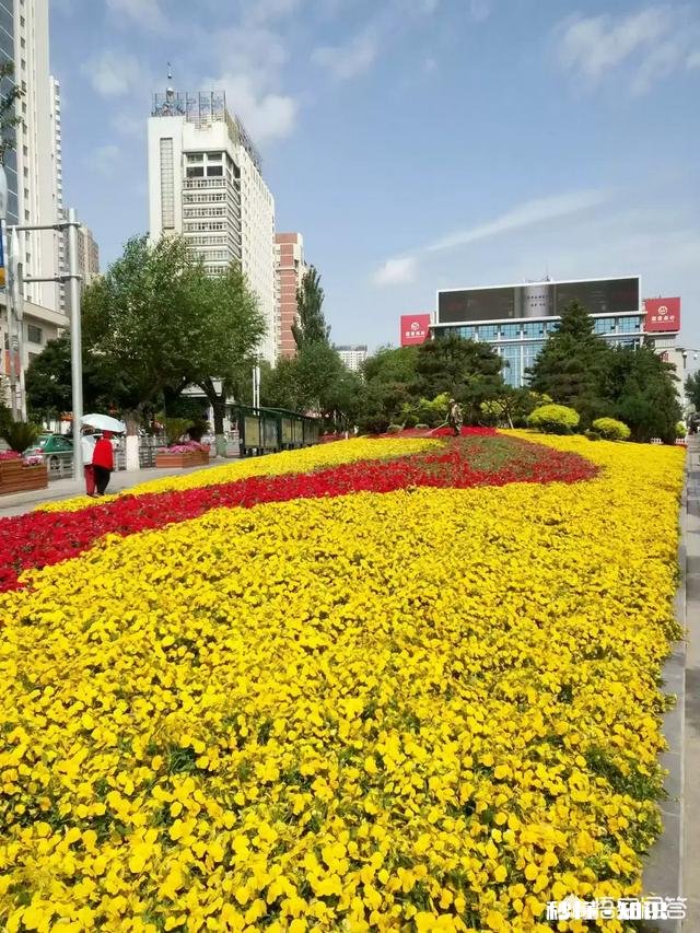 西宁市多处公交港湾修复完毕, 你怎么看