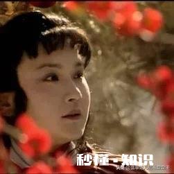 《红楼梦》贾探春自己才志高远，为何从来不劝哥哥贾宝玉立身功名