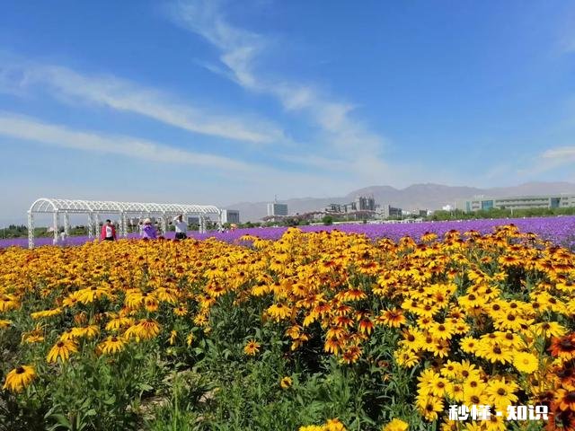 人活着为什么这么难呢