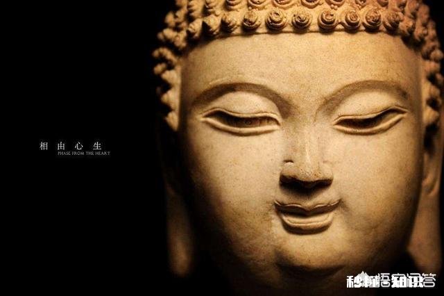 你认为什么样的女人最有韵味、最迷人