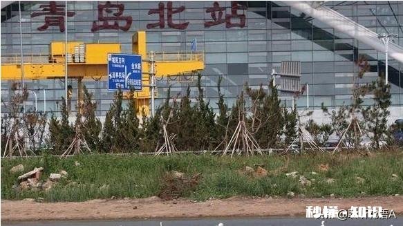 说说你心中的愿望是什么