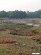 小学二年级的学生写作文时语言贫乏怎么办