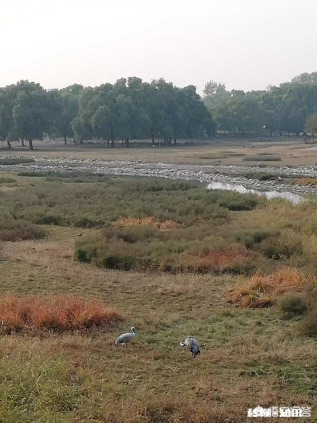 小学二年级的学生写作文时语言贫乏怎么办