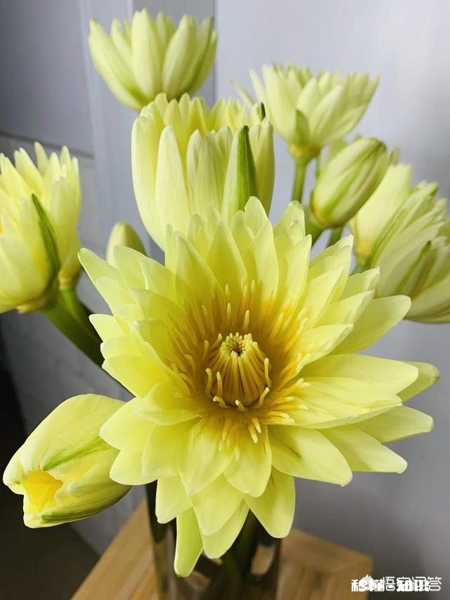 做餐饮时怎样做好营销手段