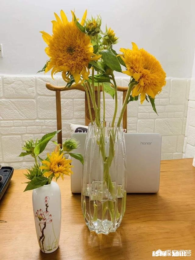 做餐饮时怎样做好营销手段