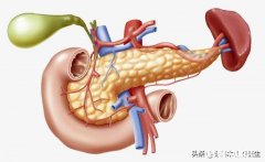 胰腺癌一般哪里会出现疼痛