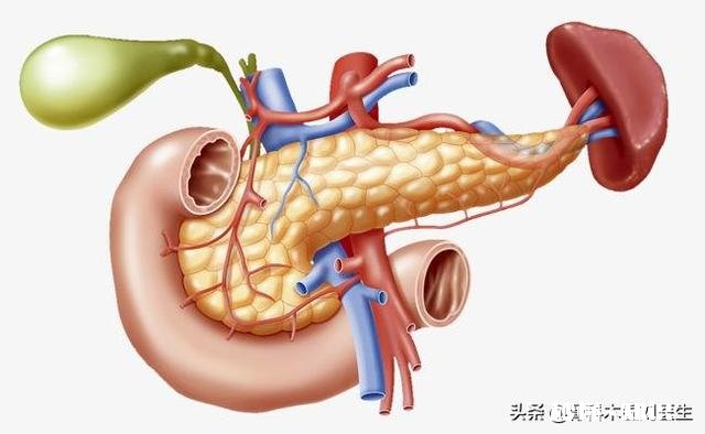 胰腺癌一般哪里会出现疼痛