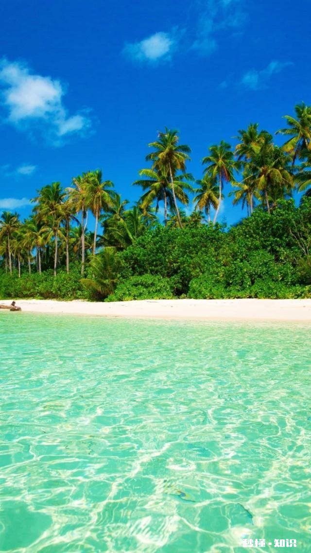 你感到最自由自在的时候是在什么情况下